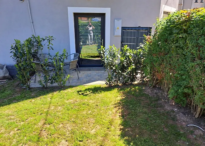 Apartament Forest