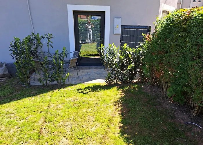 Apartament Forest